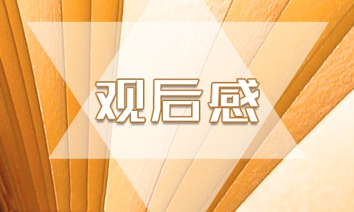 寒假十課六年級(jí)觀后感