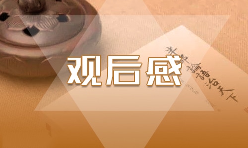 學(xué)習(xí)雷鋒精神觀后感作文